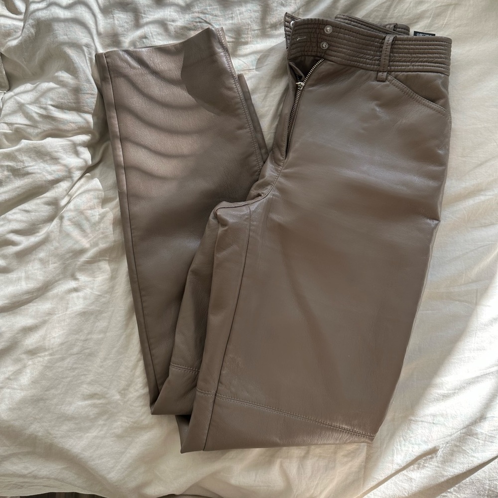 Aritzia leather pants